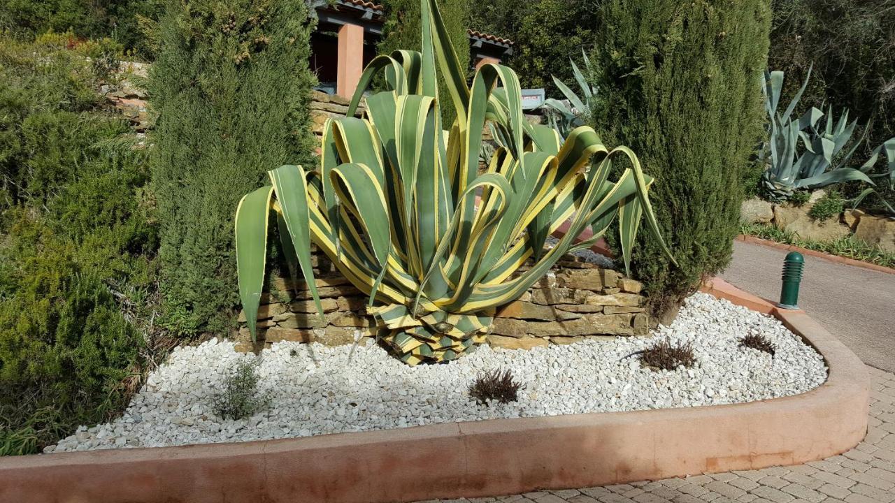 La Maison Du Castellet Le Castellet  Ngoại thất bức ảnh