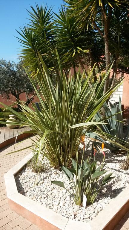 La Maison Du Castellet Le Castellet  Ngoại thất bức ảnh
